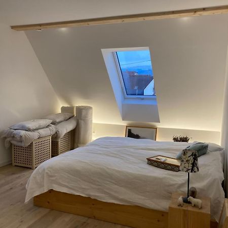 Neues Penthouse-Loft Mit Konuskarte Fuer Gratis Oepnv Lägenhet Ehrenkirchen Exteriör bild