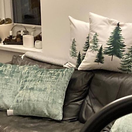 Neues Penthouse-Loft Mit Konuskarte Fuer Gratis Oepnv Lägenhet Ehrenkirchen Exteriör bild