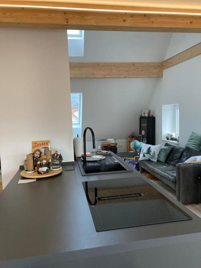 Neues Penthouse-Loft Mit Konuskarte Fuer Gratis Oepnv Lägenhet Ehrenkirchen Exteriör bild