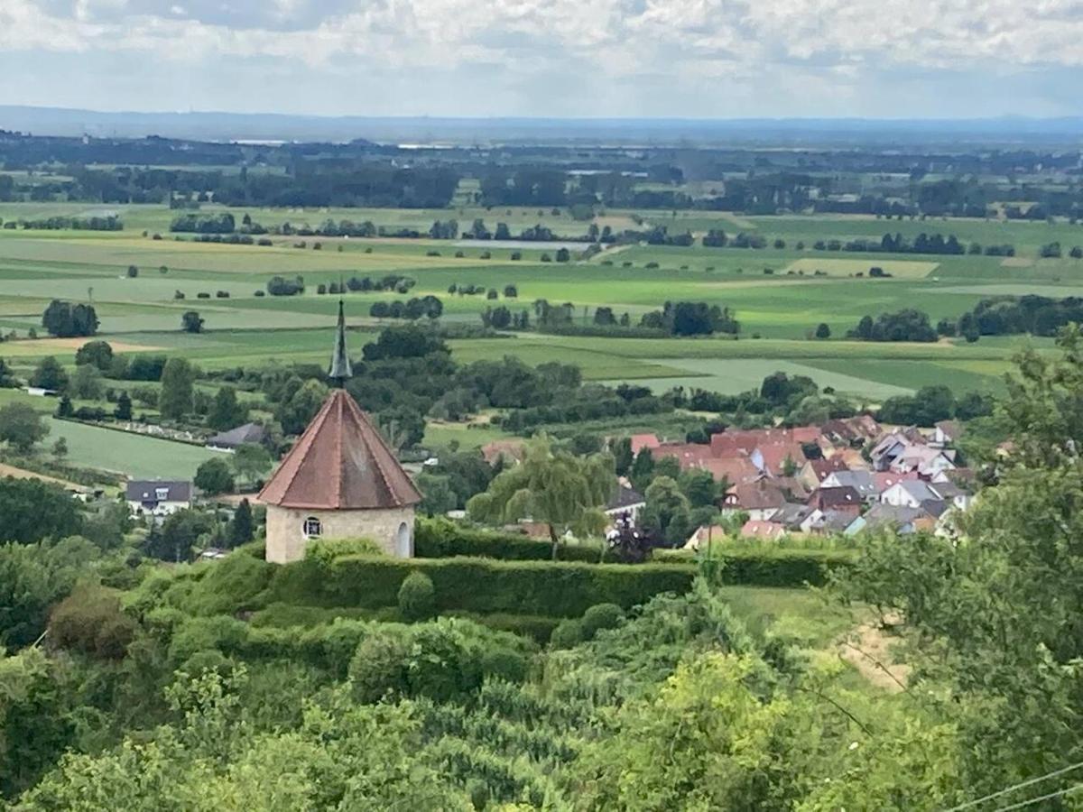 Neues Penthouse-Loft Mit Konuskarte Fuer Gratis Oepnv Lägenhet Ehrenkirchen Exteriör bild