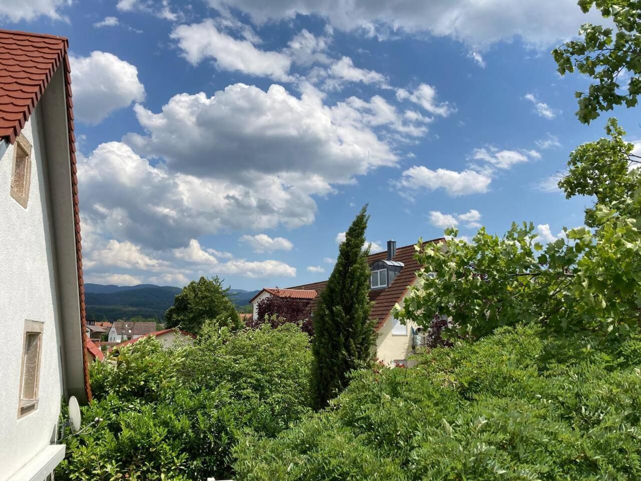 Neues Penthouse-Loft Mit Konuskarte Fuer Gratis Oepnv Lägenhet Ehrenkirchen Exteriör bild
