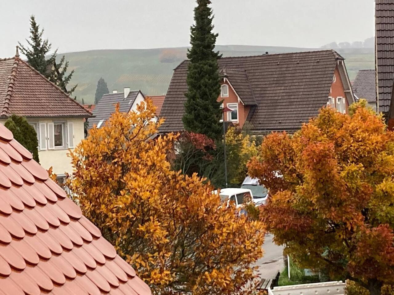 Neues Penthouse-Loft Mit Konuskarte Fuer Gratis Oepnv Lägenhet Ehrenkirchen Exteriör bild